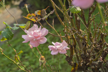 Similar image 22756295