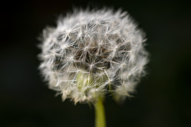 Similar image 22748038