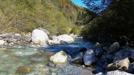 Similar image 22750165