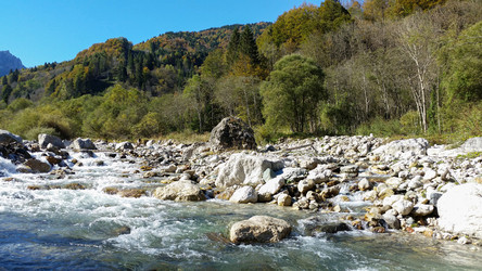 Similar image 22763445