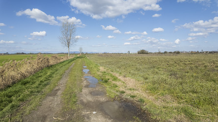 Similar image 22746628