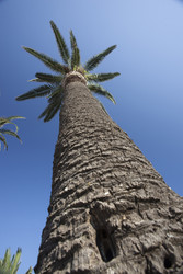 Similar image 22749014