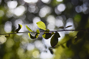 Similar image 22756370