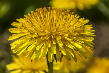 Similar image 22763803