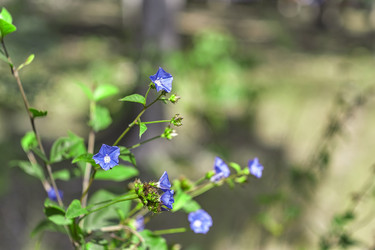 Similar image 22750304