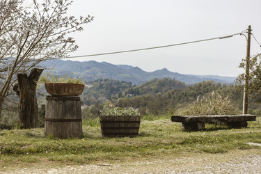 Similar image 22759992