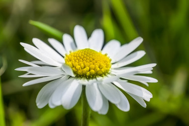 Similar image 22749362