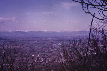 Similar image 22750140