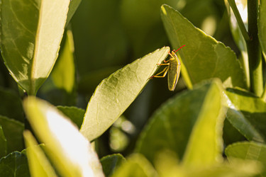 Similar image 22763952