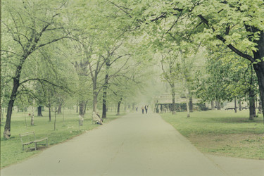 Similar image 22750527