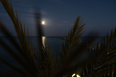 Similar image 22767122
