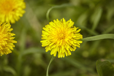 Similar image 22749722