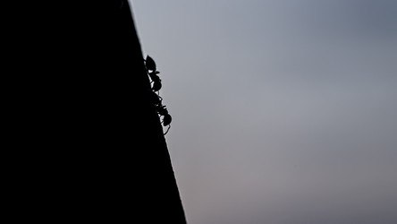Similar image 22750021
