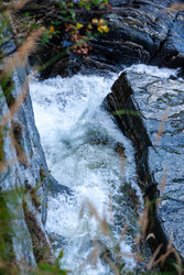 Similar image 22650700