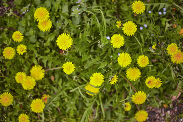 Similar image 22748239