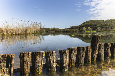 Similar image 22749181