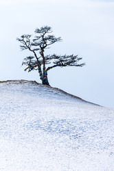 Similar image 22660334