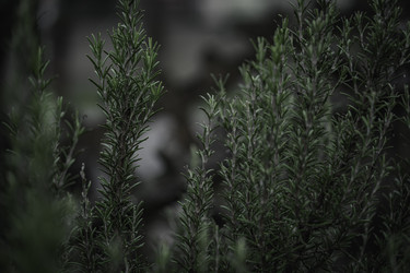 Similar image 22747575