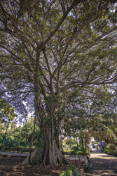 Similar image 22750172