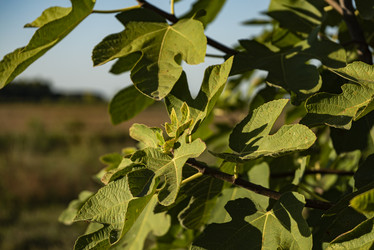 Similar image 22756402