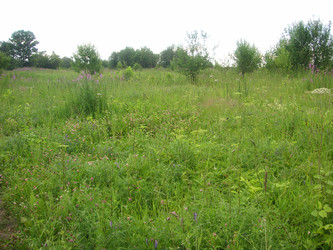 Similar image 22650809