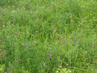 Similar image 22650816