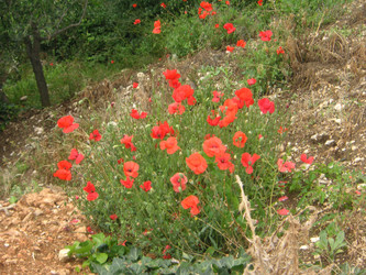 Similar image 22650817
