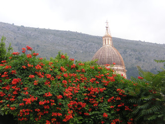 Similar image 22650823