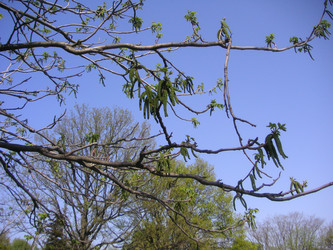 Similar image 22650824