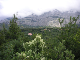 Similar image 22650826