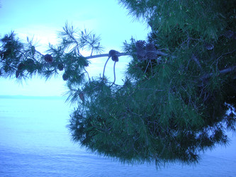 Similar image 22650832