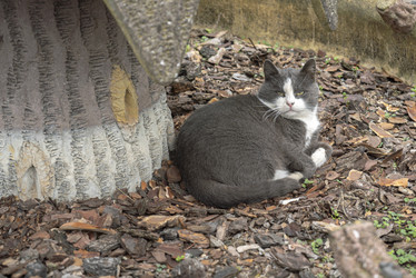 Similar image 22748854