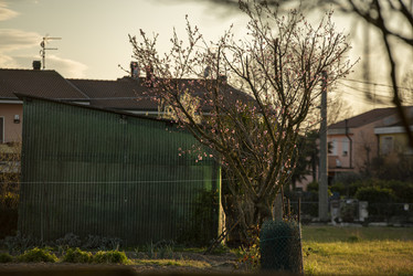 Similar image 22749183