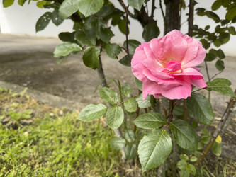 Similar image 22745950