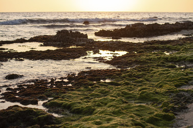 Similar image 22746084