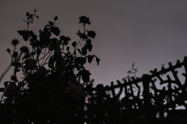 Similar image 22743233