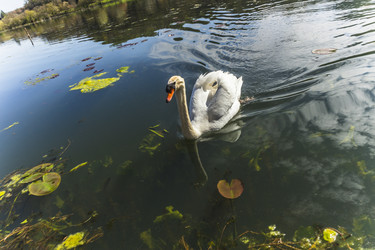 Similar image 22745186
