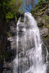 Similar image 22745305