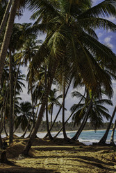 Similar image 22745724