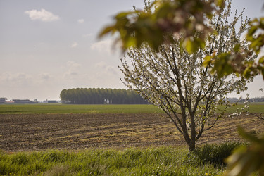 Similar image 22743219