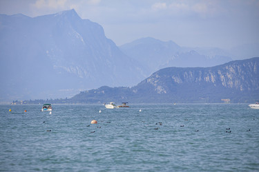 Similar image 22743278