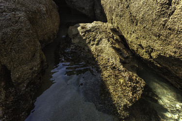 Similar image 22743397