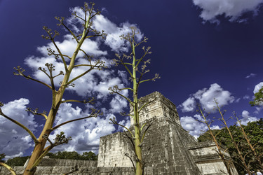 Similar image 22743539