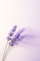 Similar image 22712650