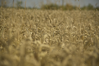 Similar image 22746071