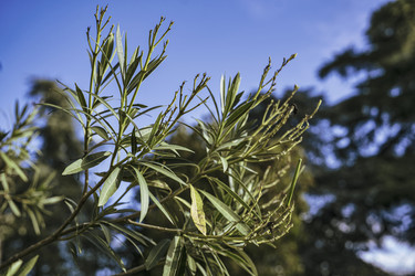 Similar image 22743541