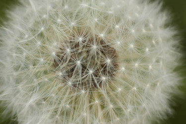 Similar image 22743554