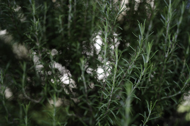 Similar image 22745234
