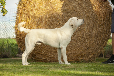 Similar image 22745410