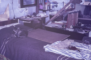 Similar image 22745412